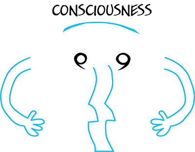 body patterns consciousness